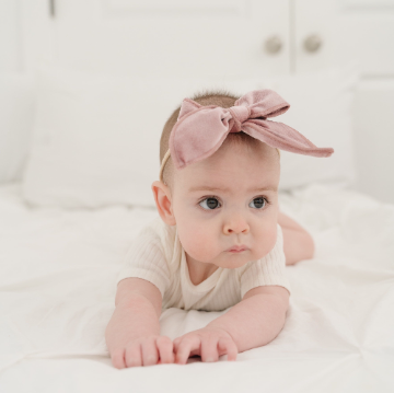 Edged Velvet Bows